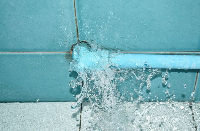 Dishwasher Pipe Repair in Denver, CO