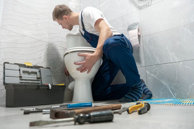 House Plumbing Repair in Denver, CO